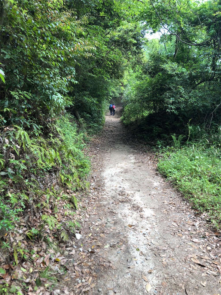 f:id:dwrwr:20190502235213j:image f:id:dwrwr:20190502235213j:image