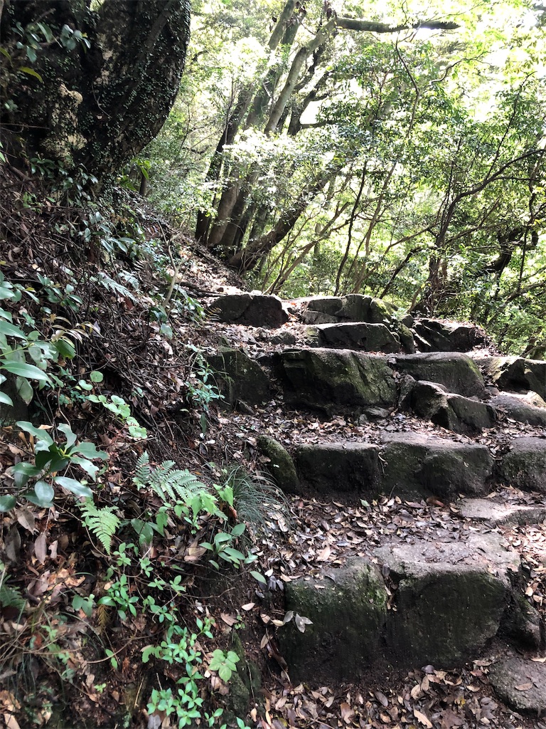 f:id:dwrwr:20190502235305j:image f:id:dwrwr:20190502235305j:image