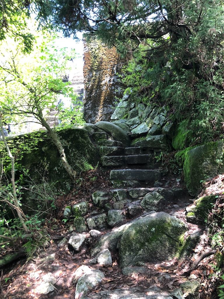 f:id:dwrwr:20190503003020j:image f:id:dwrwr:20190503003020j:image