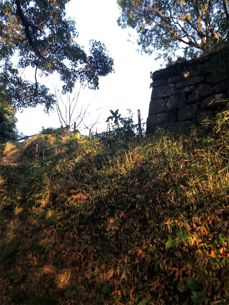f:id:dwrwr:20191126213722j:image f:id:dwrwr:20191126213722j:image