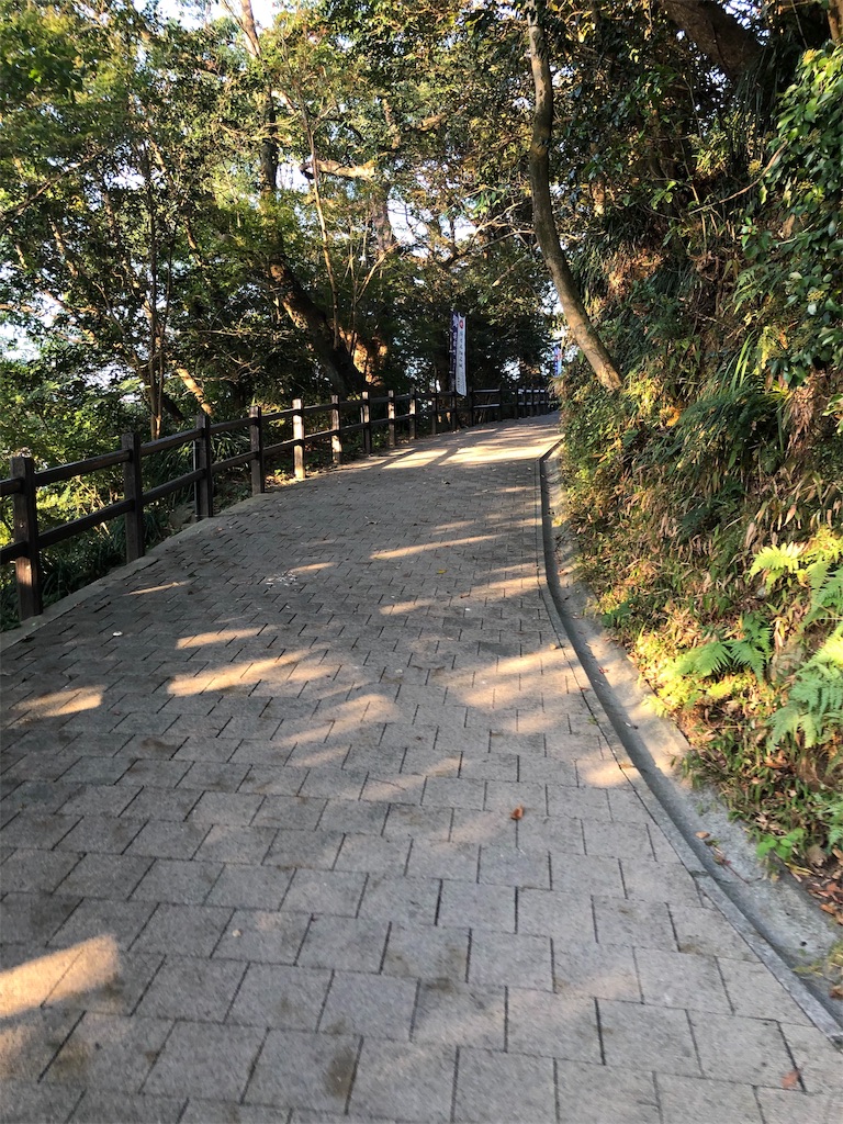f:id:dwrwr:20191126213725j:image f:id:dwrwr:20191126213725j:image