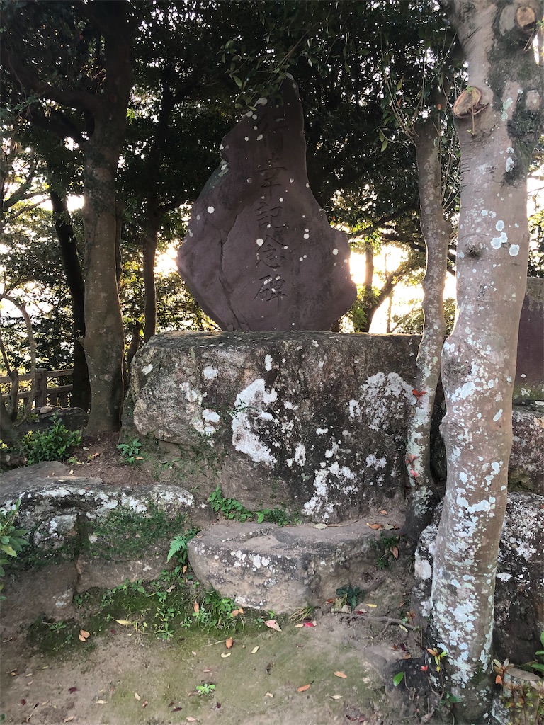 f:id:dwrwr:20191126214110j:image f:id:dwrwr:20191126214110j:image