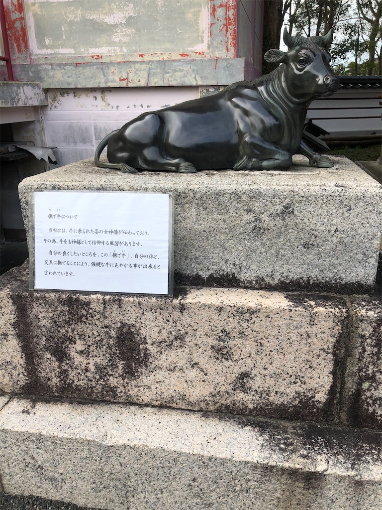 f:id:dwrwr:20200719120534j:image f:id:dwrwr:20200719120534j:image