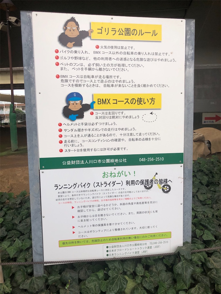 f:id:dwrwr:20200725081027j:image f:id:dwrwr:20200725081027j:image