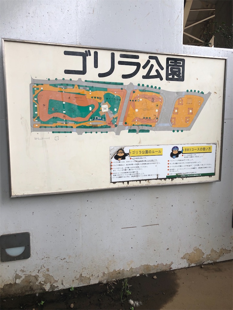 f:id:dwrwr:20200725081337j:image f:id:dwrwr:20200725081337j:image