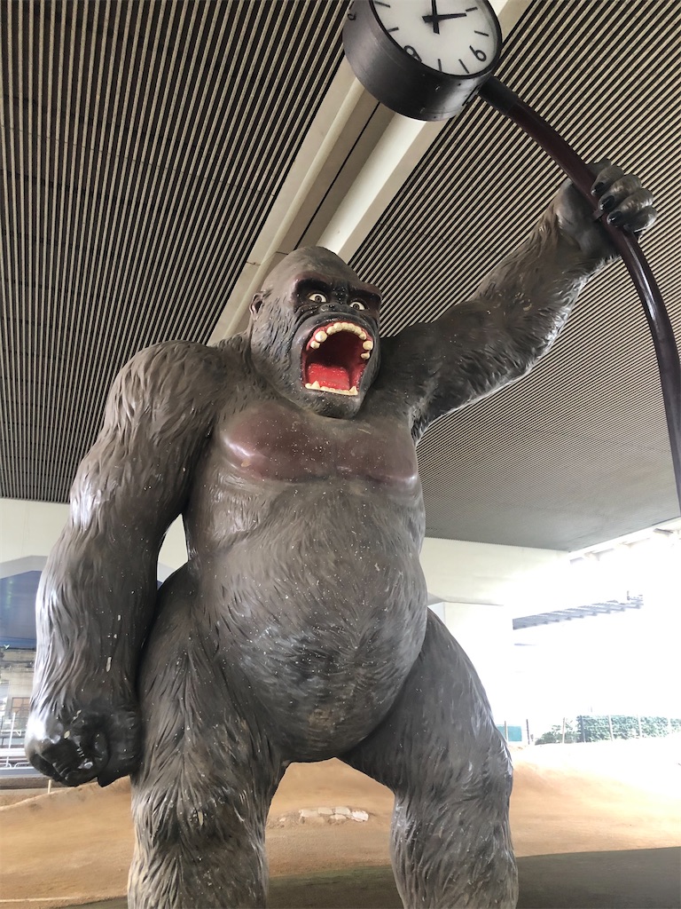 f:id:dwrwr:20200725084809j:image f:id:dwrwr:20200725084809j:image