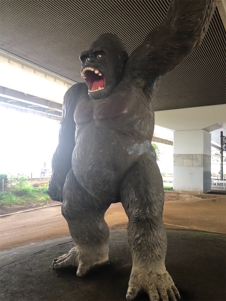 f:id:dwrwr:20200725084813j:image f:id:dwrwr:20200725084813j:image