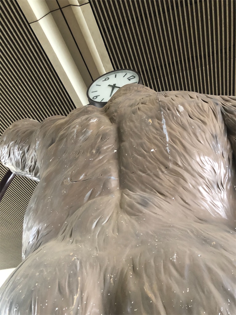 f:id:dwrwr:20200725085106j:image f:id:dwrwr:20200725085106j:image