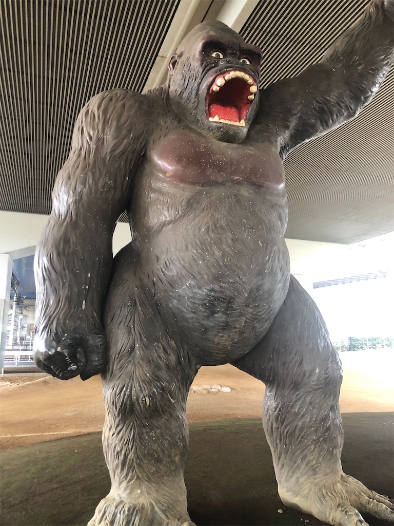 f:id:dwrwr:20200725085225j:image f:id:dwrwr:20200725085225j:image