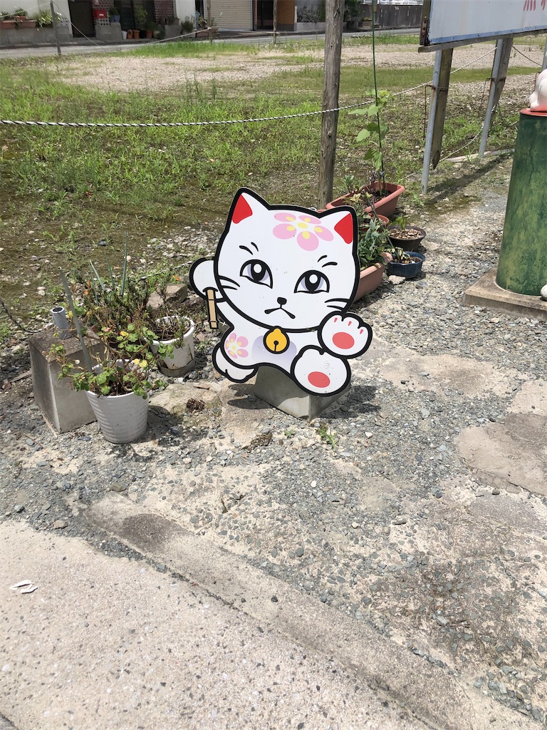 f:id:dwrwr:20200815004739j:image f:id:dwrwr:20200815004739j:image