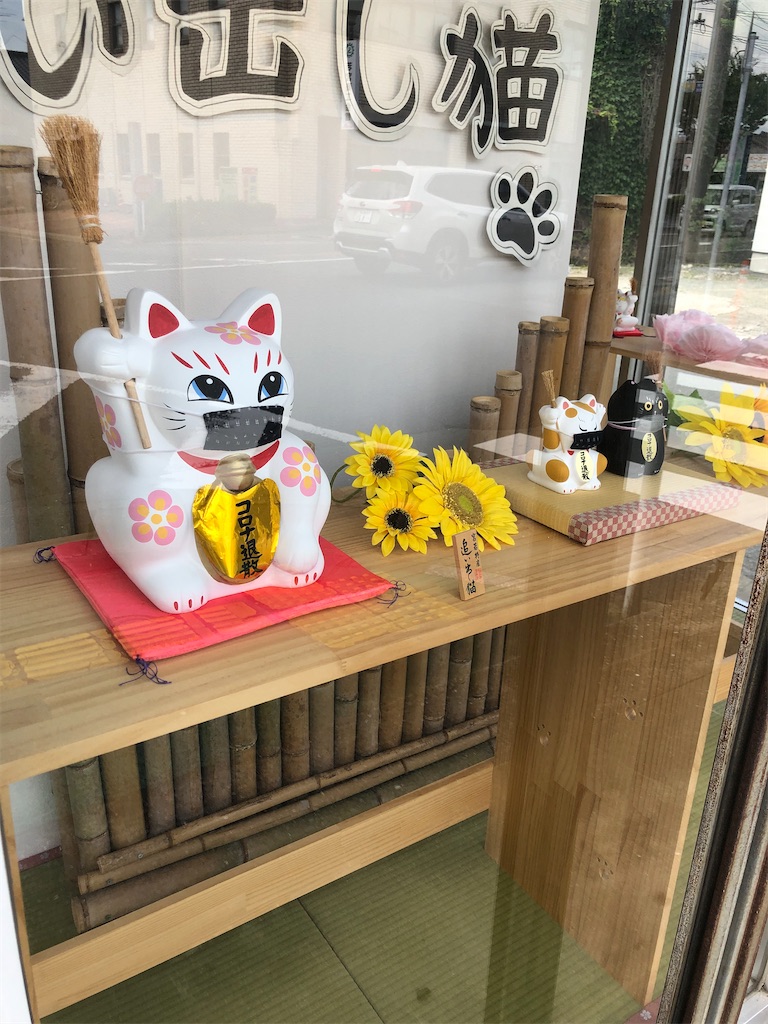 f:id:dwrwr:20200815005632j:image f:id:dwrwr:20200815005632j:image