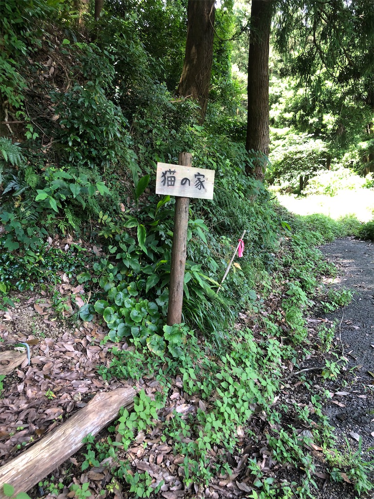 f:id:dwrwr:20200815182518j:image f:id:dwrwr:20200815182518j:image