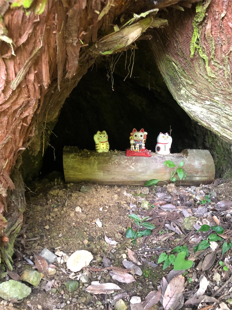 f:id:dwrwr:20200815183305j:image f:id:dwrwr:20200815183305j:image