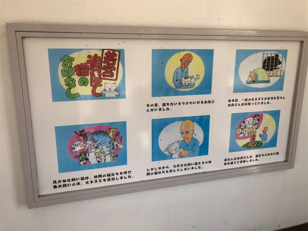 f:id:dwrwr:20200815203645j:image f:id:dwrwr:20200815203645j:image