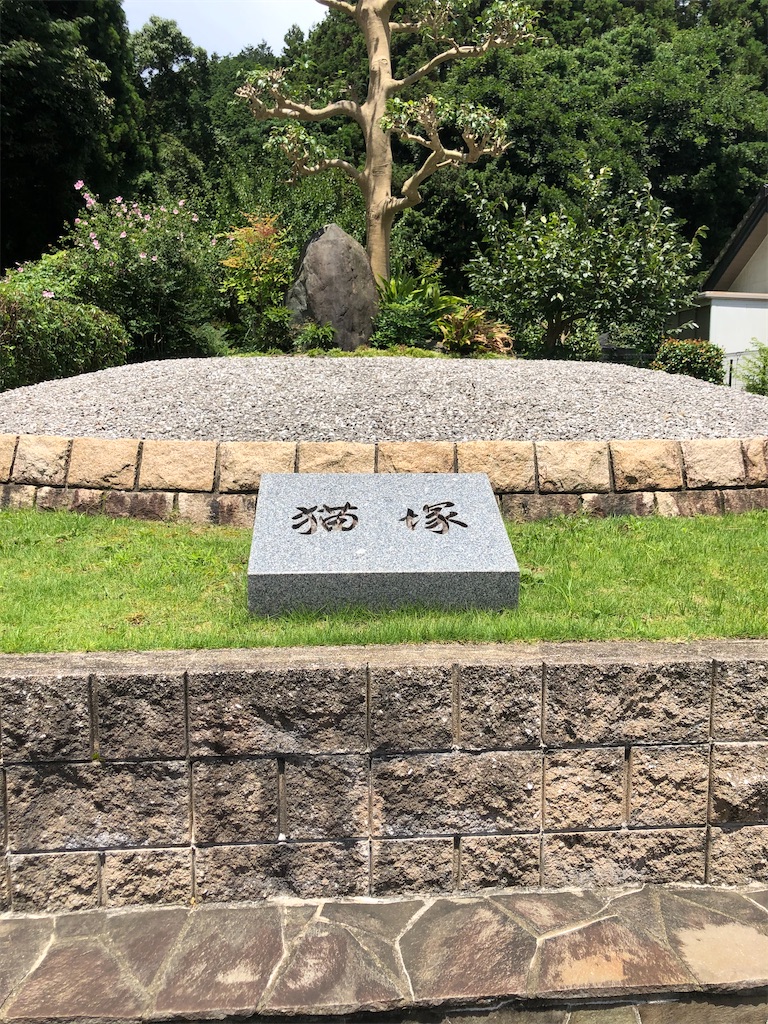 f:id:dwrwr:20200815204850j:image f:id:dwrwr:20200815204850j:image