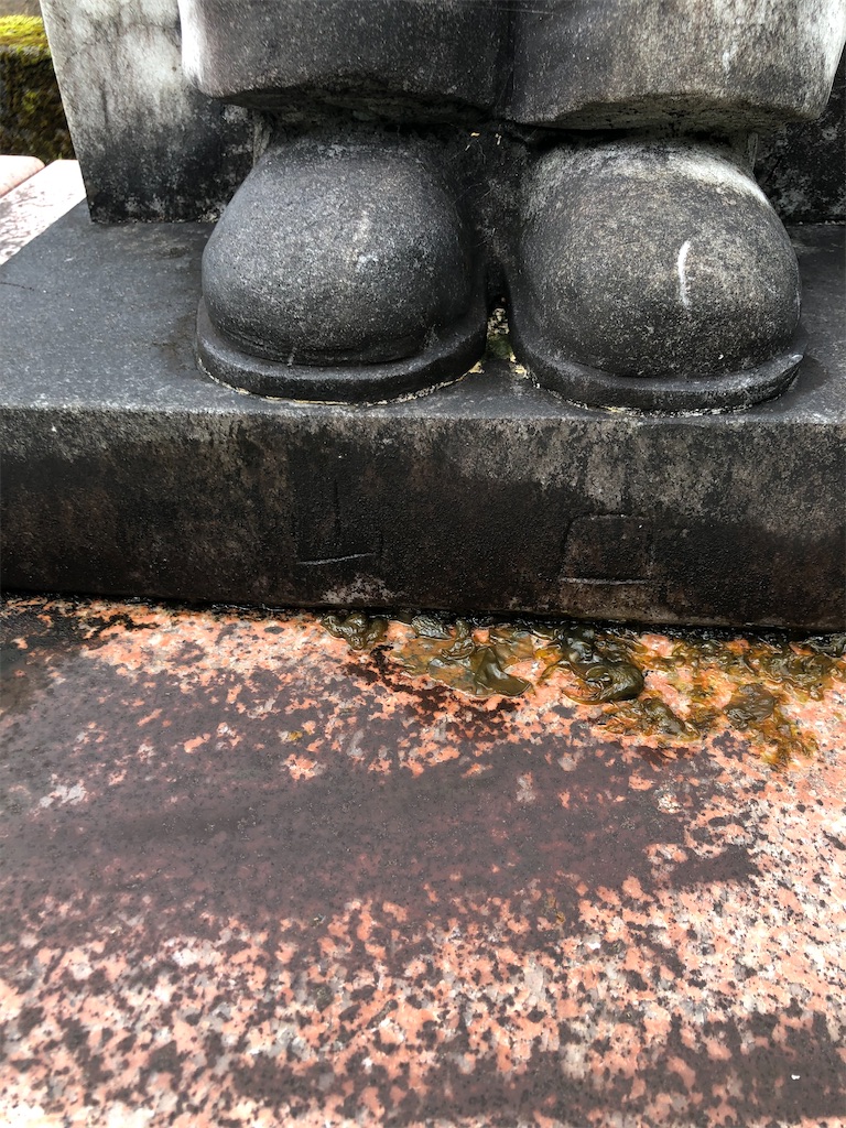 f:id:dwrwr:20201115164912j:image f:id:dwrwr:20201115164912j:image