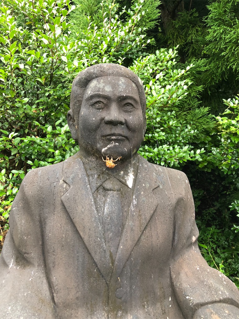 f:id:dwrwr:20201115170427j:image f:id:dwrwr:20201115170427j:image