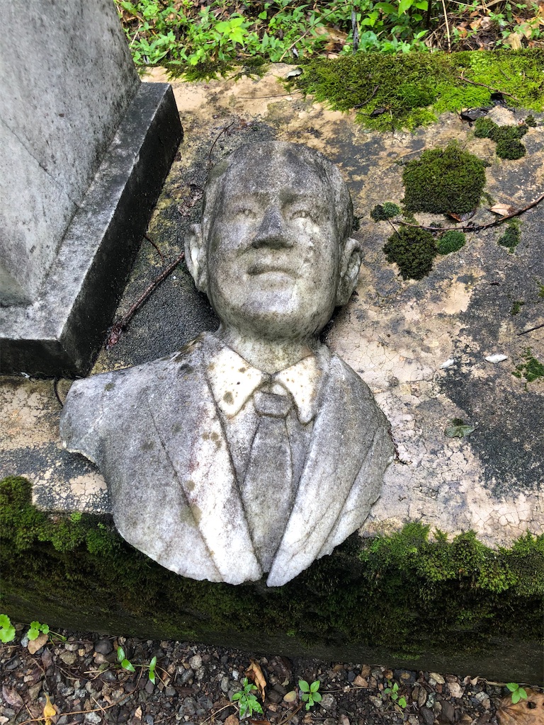 f:id:dwrwr:20201115171635j:image f:id:dwrwr:20201115171635j:image