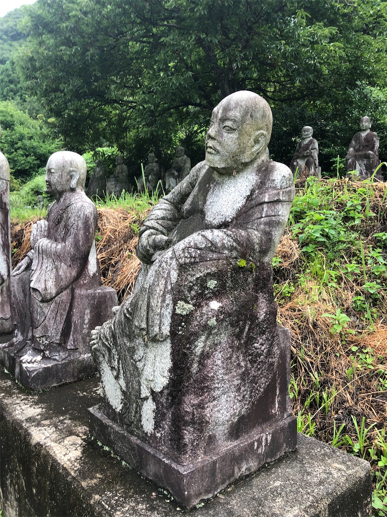 f:id:dwrwr:20201115173636j:image f:id:dwrwr:20201115173636j:image