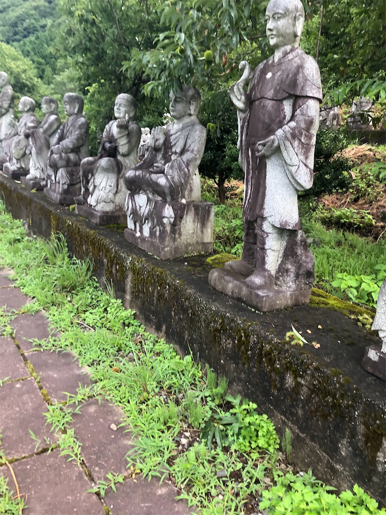 f:id:dwrwr:20201115173644j:image f:id:dwrwr:20201115173644j:image