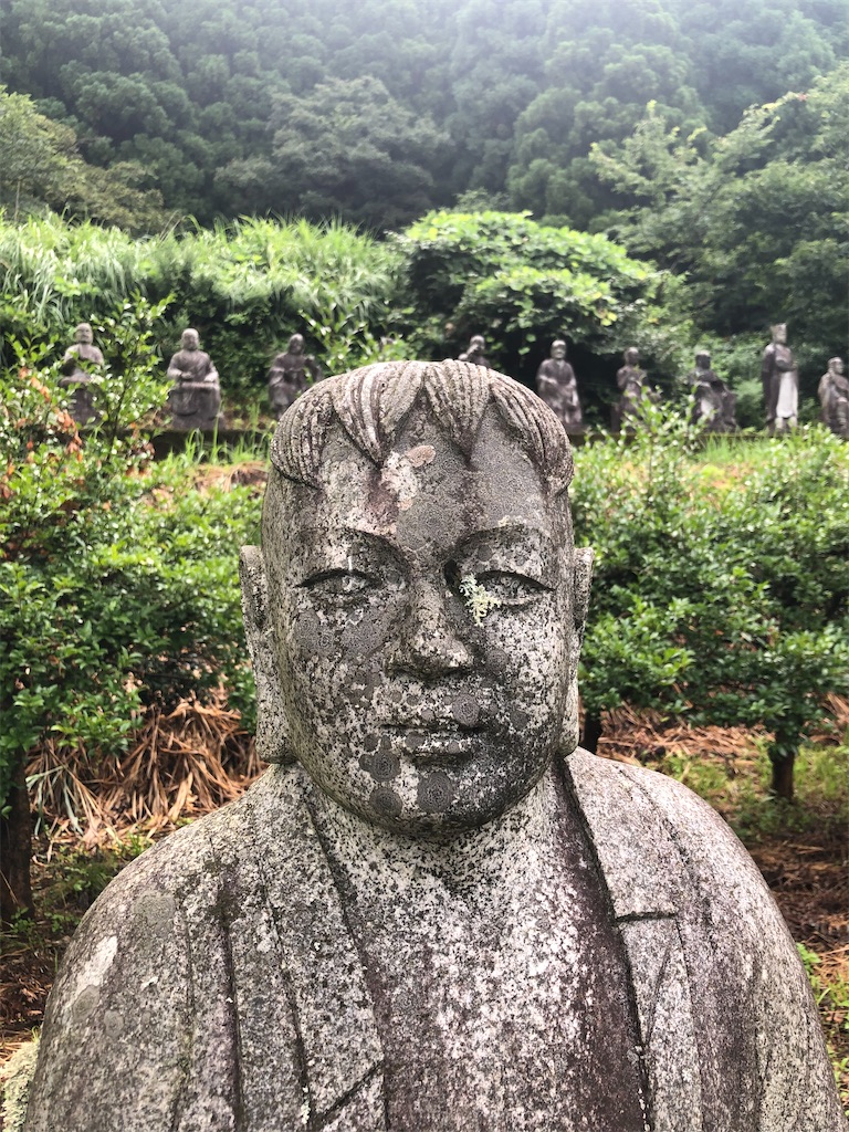 f:id:dwrwr:20201115175103j:image f:id:dwrwr:20201115175103j:image