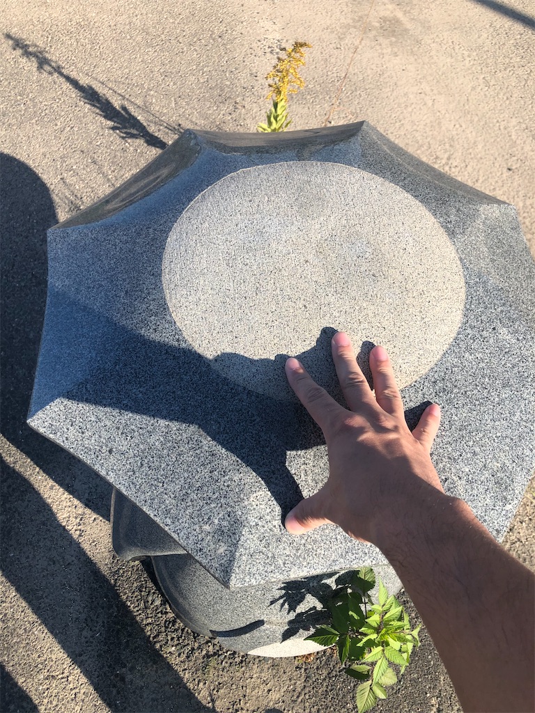 f:id:dwrwr:20210215215130j:image f:id:dwrwr:20210215215130j:image