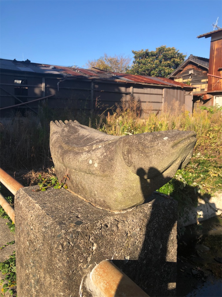 f:id:dwrwr:20210215222100j:image f:id:dwrwr:20210215222100j:image