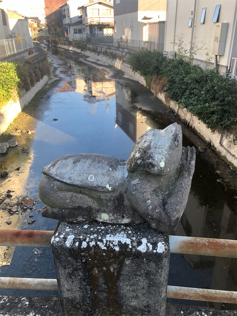 f:id:dwrwr:20210215224006j:image f:id:dwrwr:20210215224006j:image