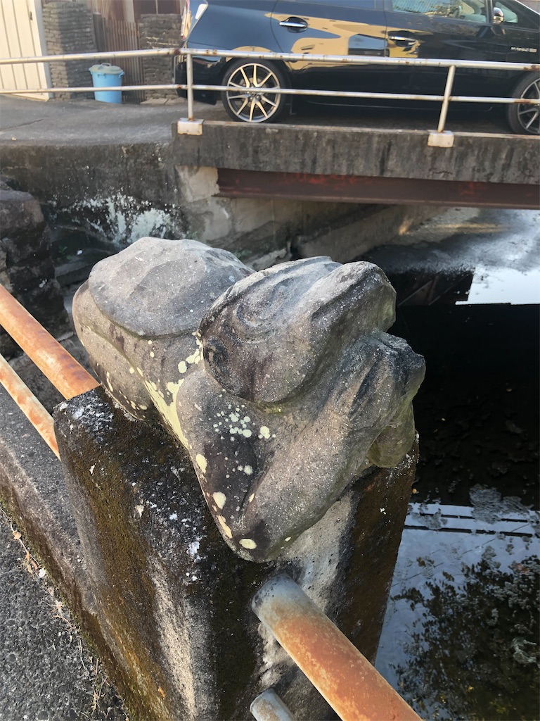 f:id:dwrwr:20210215224010j:image f:id:dwrwr:20210215224010j:image