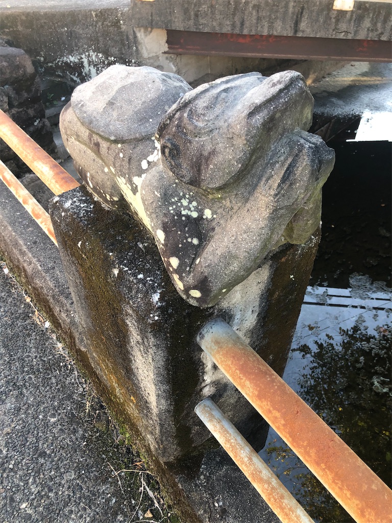 f:id:dwrwr:20210215224120j:image f:id:dwrwr:20210215224120j:image