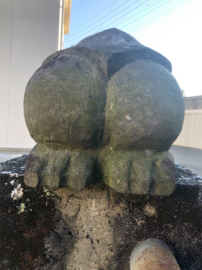 f:id:dwrwr:20210215224338j:image f:id:dwrwr:20210215224338j:image