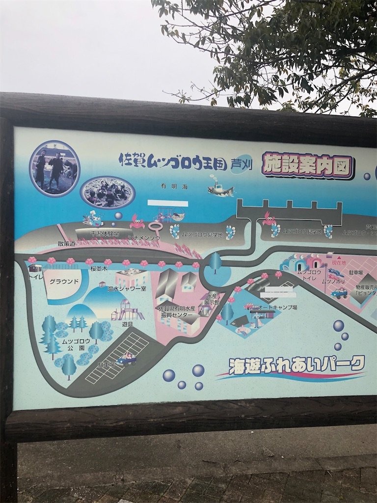 f:id:dwrwr:20210615222002j:image f:id:dwrwr:20210615222002j:image