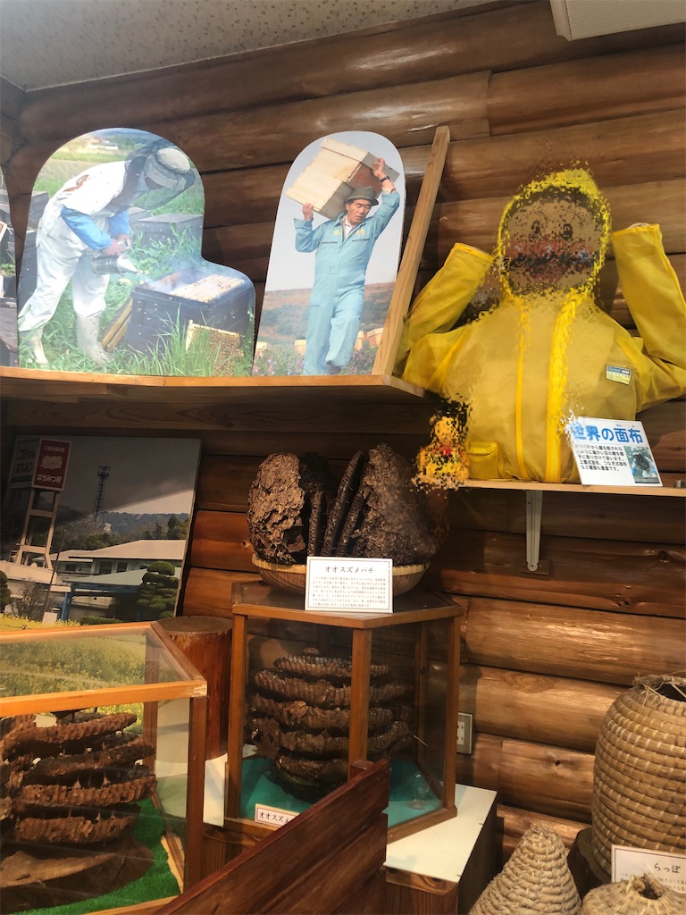 f:id:dwrwr:20221123141943j:image f:id:dwrwr:20221123141943j:image