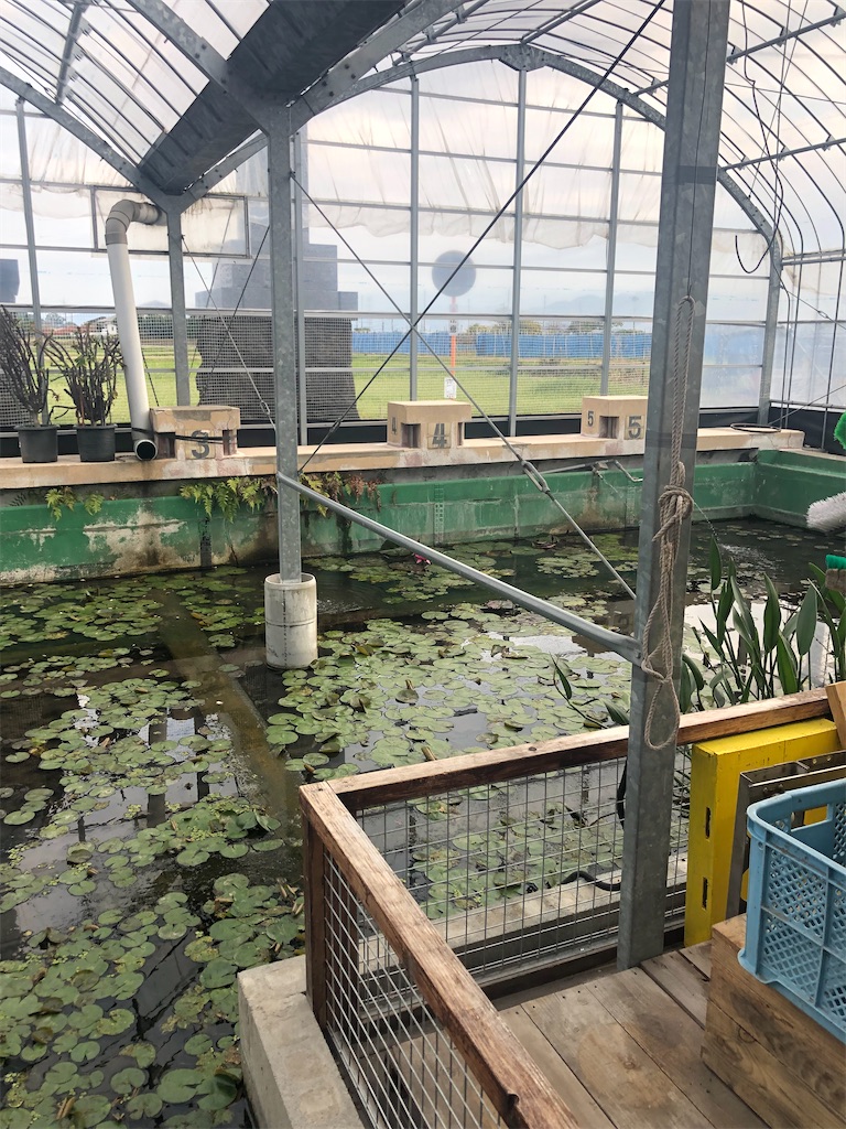 f:id:dwrwr:20221231120453j:image f:id:dwrwr:20221231120453j:image