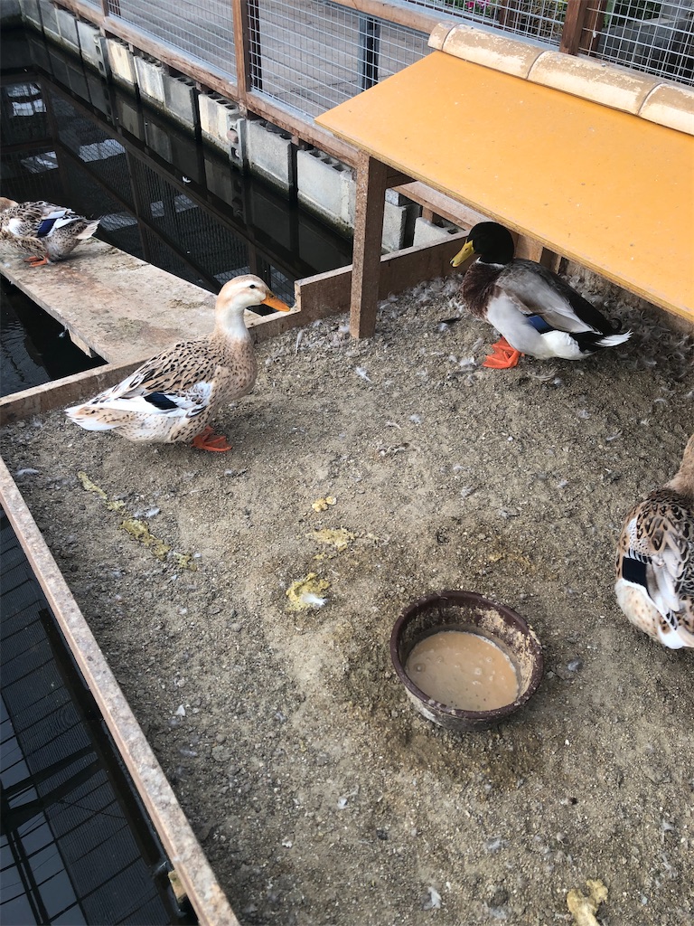 f:id:dwrwr:20221231120603j:image f:id:dwrwr:20221231120603j:image