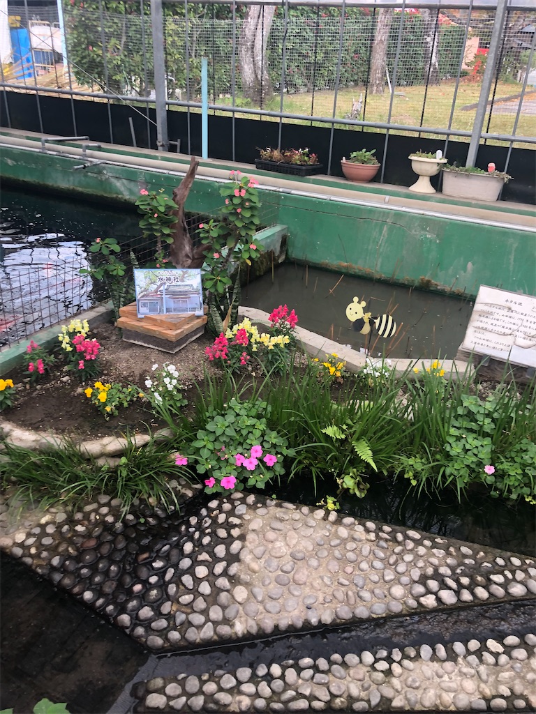 f:id:dwrwr:20221231120608j:image f:id:dwrwr:20221231120608j:image