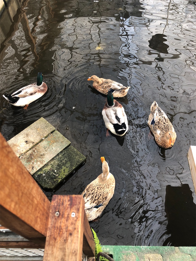 f:id:dwrwr:20221231120620j:image f:id:dwrwr:20221231120620j:image