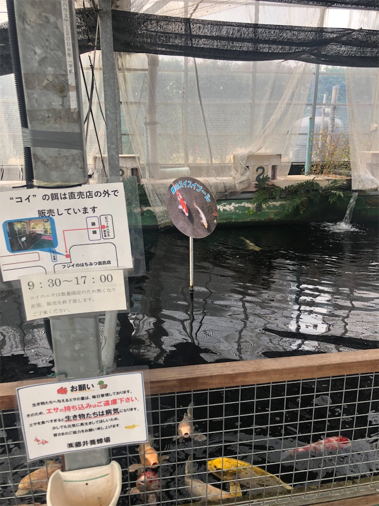 f:id:dwrwr:20221231120630j:image f:id:dwrwr:20221231120630j:image