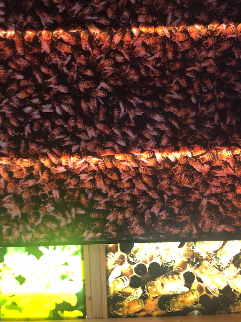 f:id:dwrwr:20221231182545j:image f:id:dwrwr:20221231182545j:image