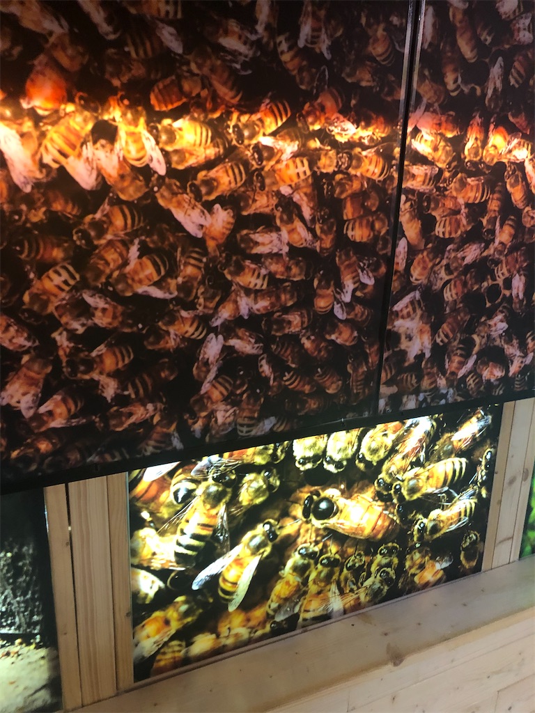 f:id:dwrwr:20221231182553j:image f:id:dwrwr:20221231182553j:image