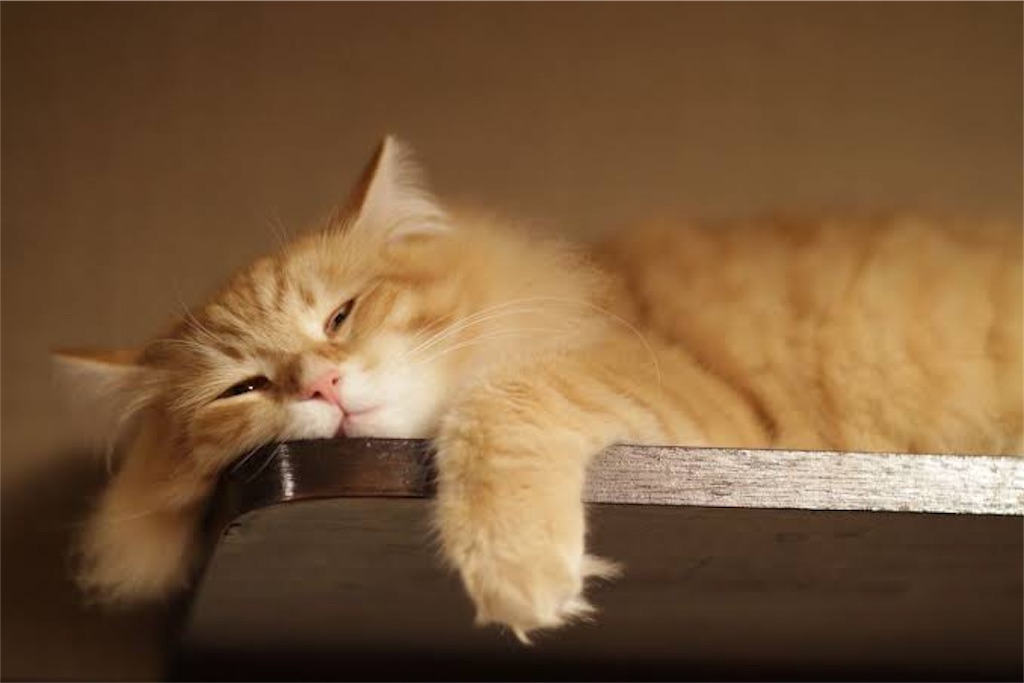 f:id:dy120126:20191203080958j:image