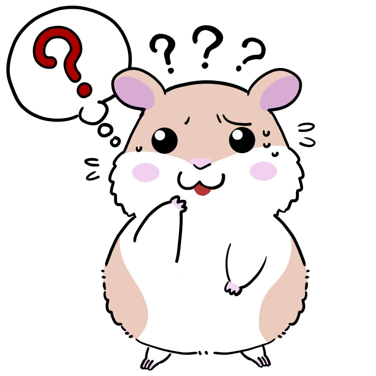 ハムスター プププ