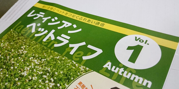 f:id:dyoblog:20170319233558j:plain