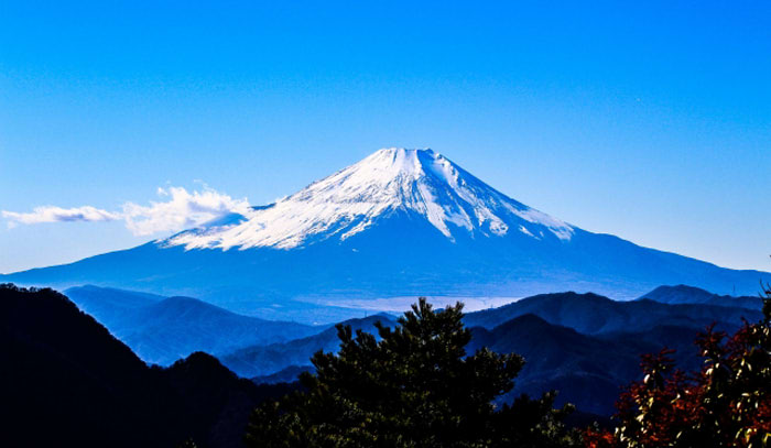 ワイルドスピードの監督は日本人が嫌い！の疑惑について考えてみた