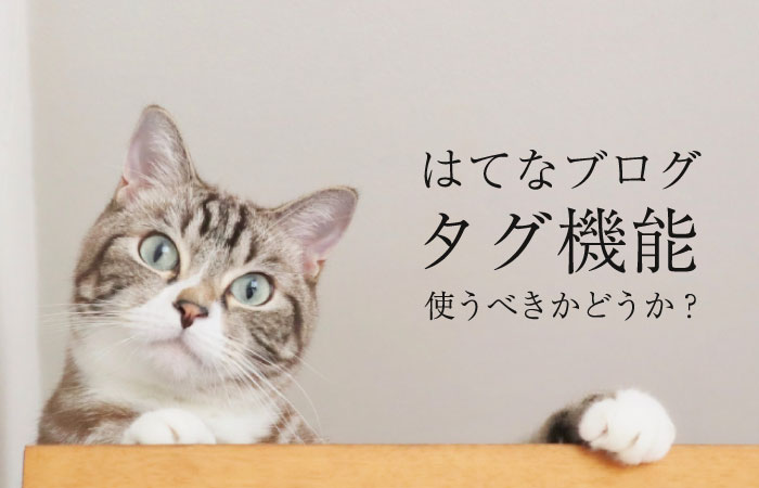 はてなブログ【タグ機能】使っていい人と使っちゃダメな人がいる｜メリット・デメリット・削除方法