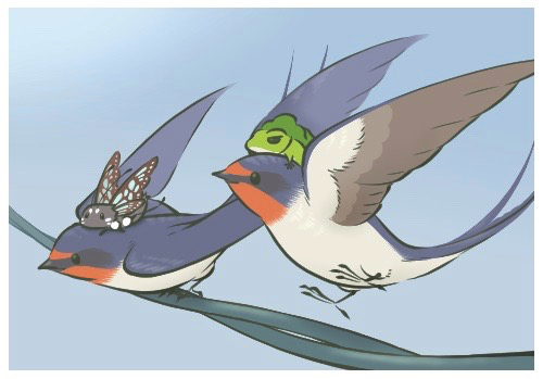 スマホゲーム 旅かえる で今までに私が獲得した レア写真 をまとめてみました 随時更新予定 ディスディスブログ