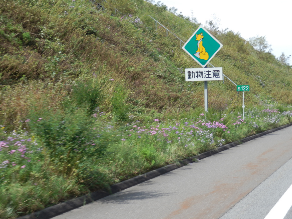 f:id:e-bar:20161009225545j:plain