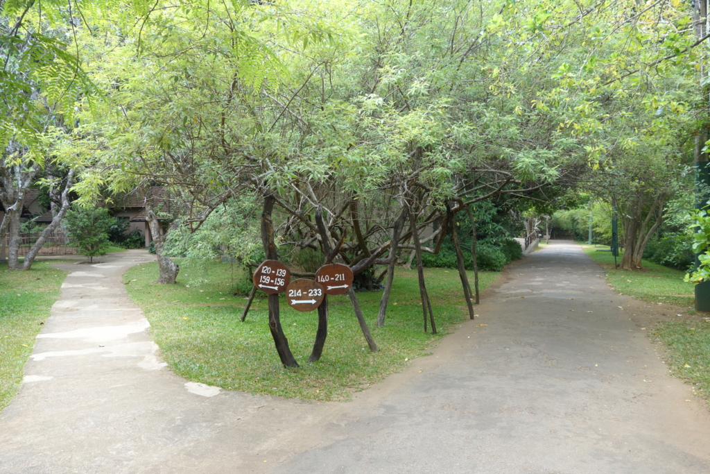 f:id:e-curiosity:20160723193828j:plain