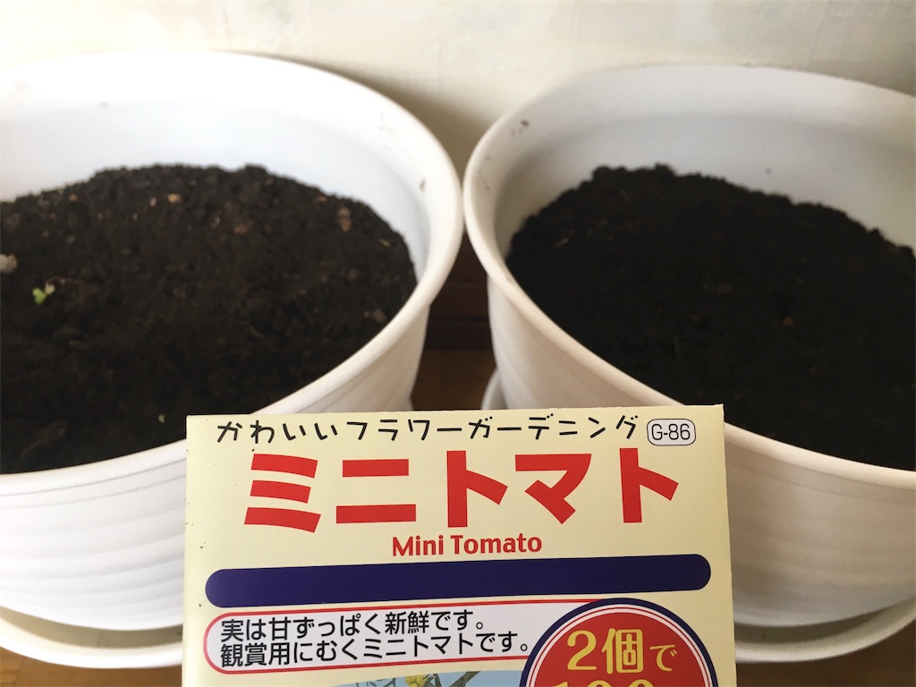 f:id:e-genelog:20180718145753j:image