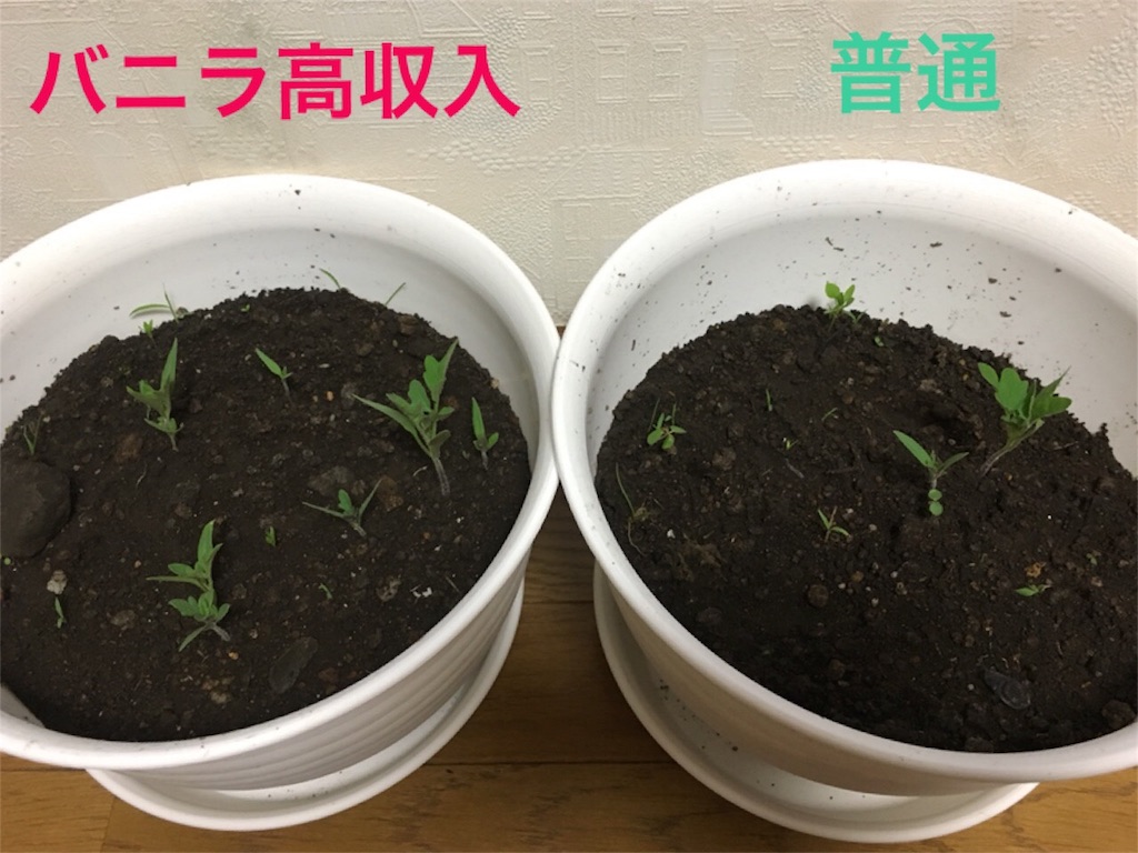 f:id:e-genelog:20180803235602j:image